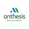 ANTHESIS