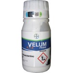 Νηματοδοκτώνο VELUM PRIME 